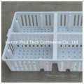 Cage de transport de poulet en plastique